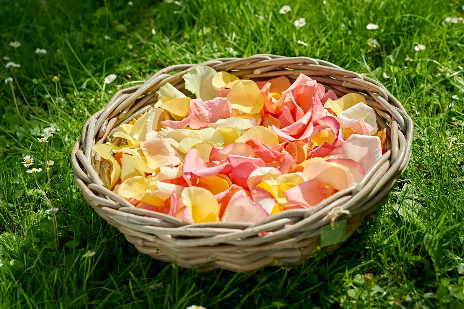 Strooiblaadjes, strooibloemen voor de uitvaart