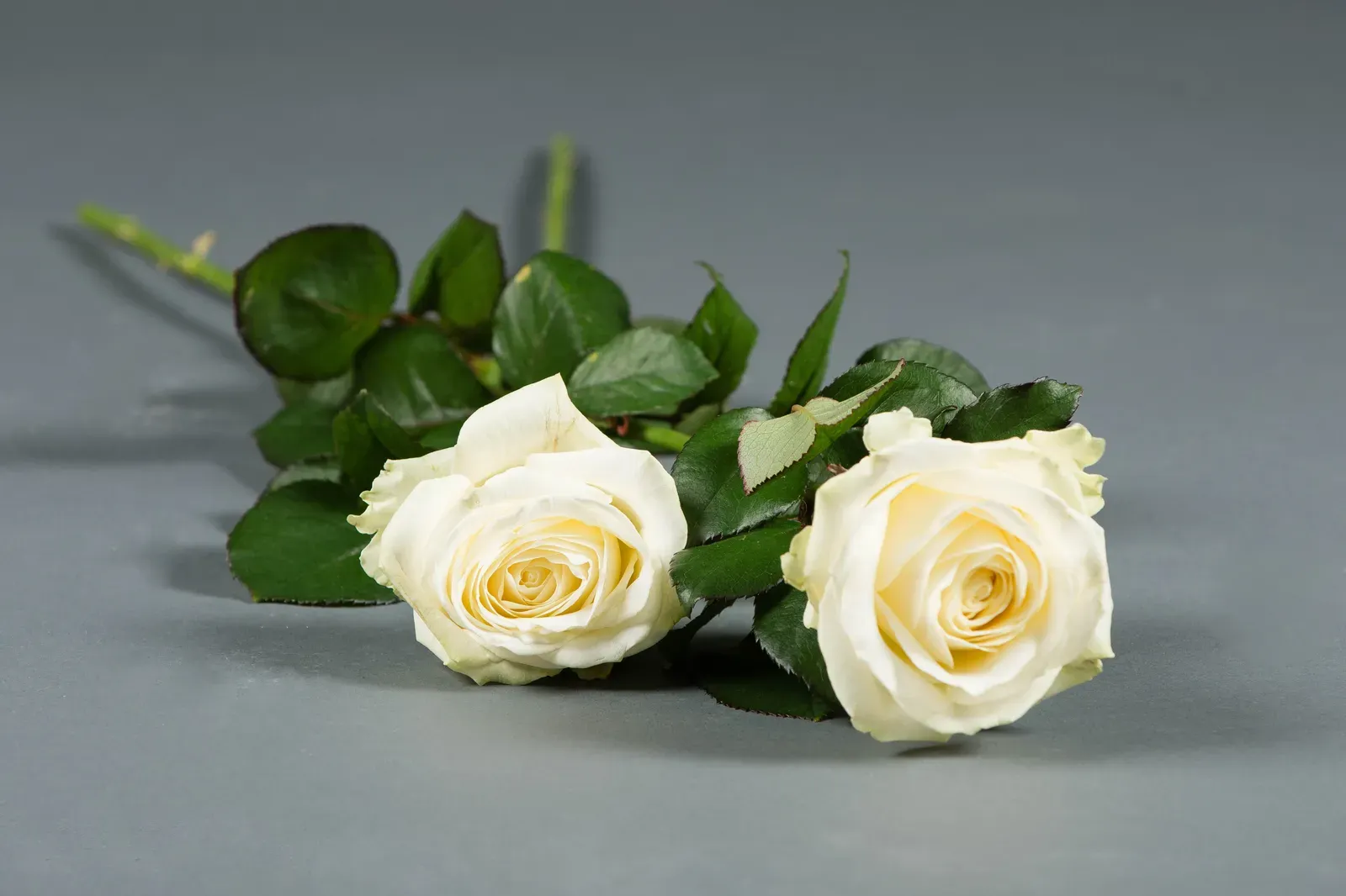 Strooibloemen, rouwbloemwerk van UitvaartBloemist